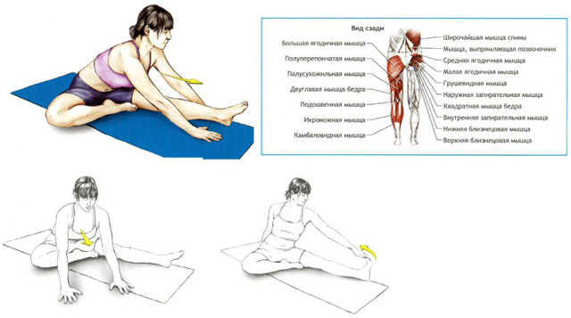 Растяжка мышц бедра и области тазобедренного сустава