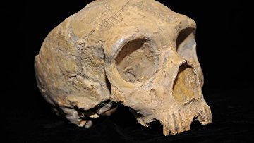 Ученые выяснили из-за чего погибли неандертальцы