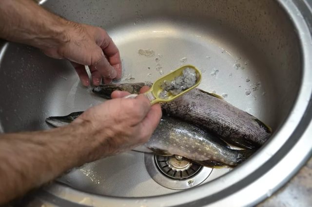 Как правильно разделать рыбу