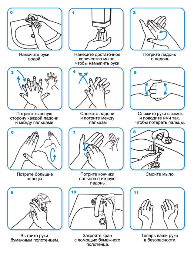 Как нужно следить за гигиеной рук во время пандемии
