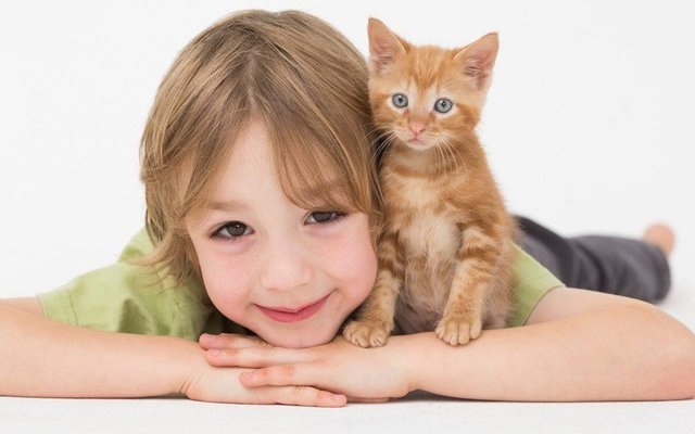 Домашние животные делают детей здоровее