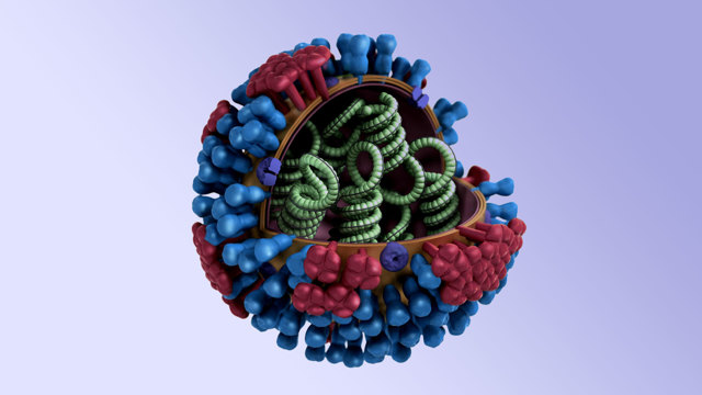 Новые виды гриппа могут стать причинами эпидемии
