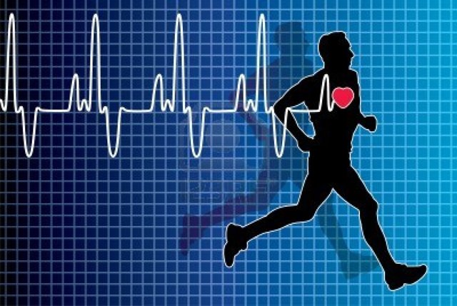 Как лишние килограммы влияют на сердце и сосуды