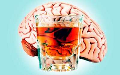 Алкоголь разрушает молодой мозг