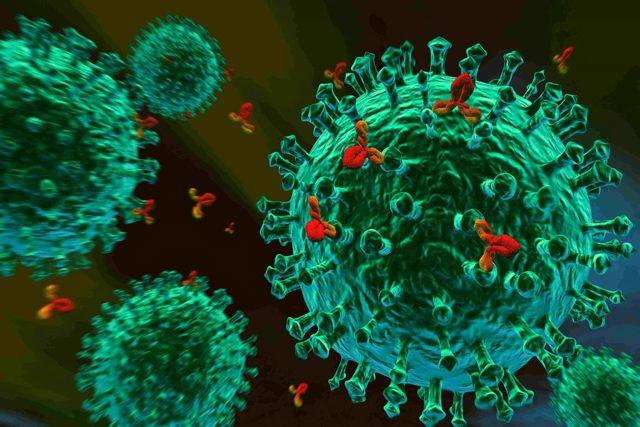 Легкие формы коронавируса дают слабый иммунитет от COVID-19