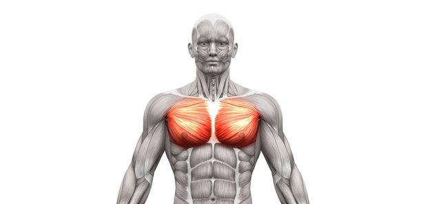 Растяжка мышц боковой поверхности груди