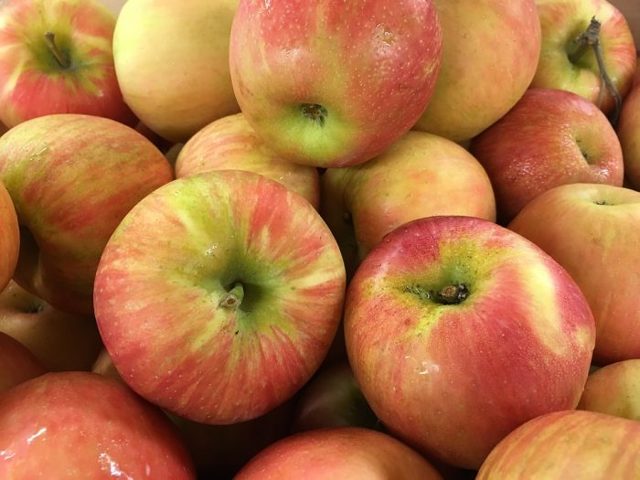 Яблоко убьёт запах чеснока – доказали ученые