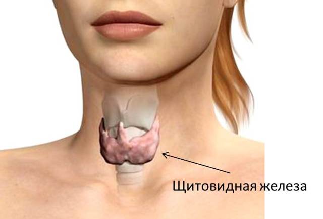 10 признаков проблем с щитовидной железой