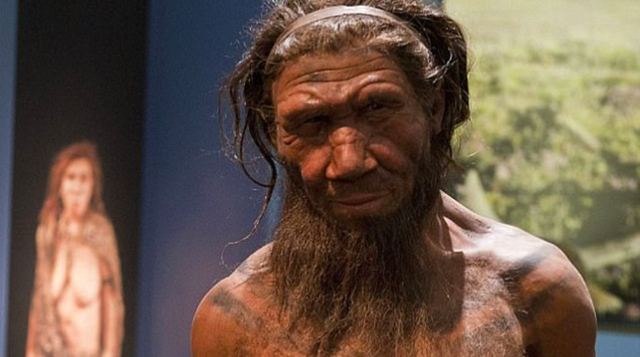 Ученые выяснили из-за чего погибли неандертальцы