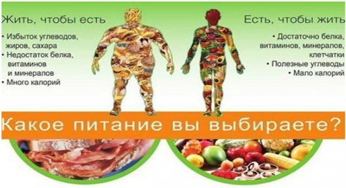 Юлия Чехонина: от выстроенной системы питания польза всему образу жизни