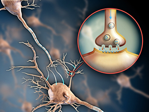 Неврологи обнаружили в растительном галлюциногене лекарство от многих болезней