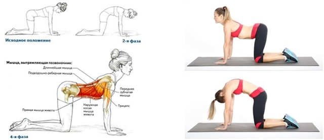 Упражнения для здоровой спины: урок седьмой