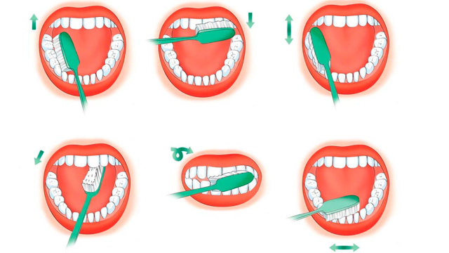 Чистим зубы правильно: пошаговая инструкция