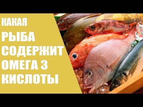 В какой рыбе больше всего Омега-3