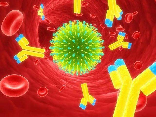 Ученые установили удивительную особенность иммунитета