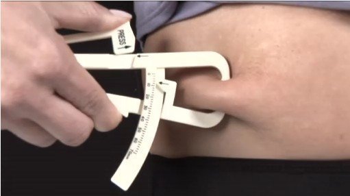 Как измерить количество жира