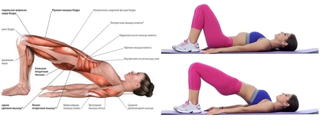 Упражнения для здоровой спины: урок седьмой