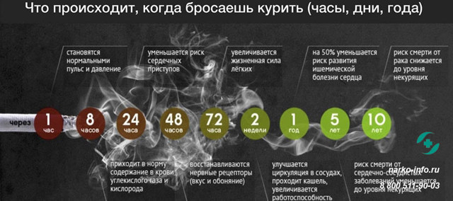 Курение занимает 2 месяца в год