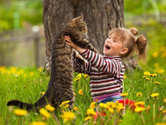 Дети хотят дружить с животными