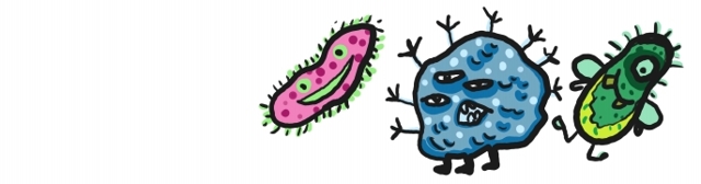 Бактерии спасут от килограммов