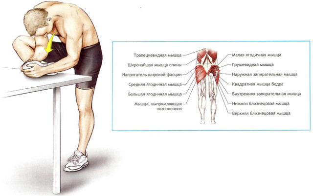 Растяжка мышц бедра и области тазобедренного сустава