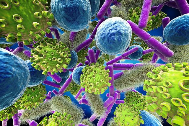 Бактерии и вирусы: умейте различать