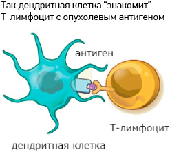 Российские ученые разрабатывают вакцину от меланомы